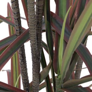 EUROPALMS Dracaena, künstlich, grün-rot, 180cm