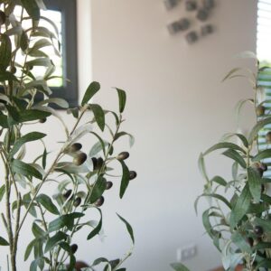 EUROPALMS Olivenbäumchen, Kunstpflanze, 90 cm